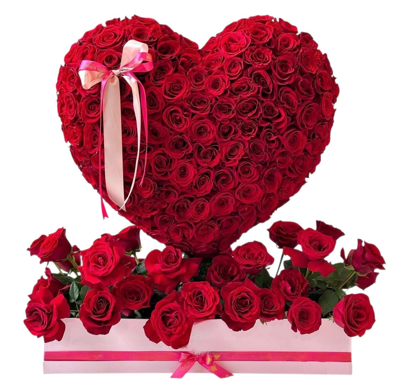 Estructura Corazón Diseño Jardín